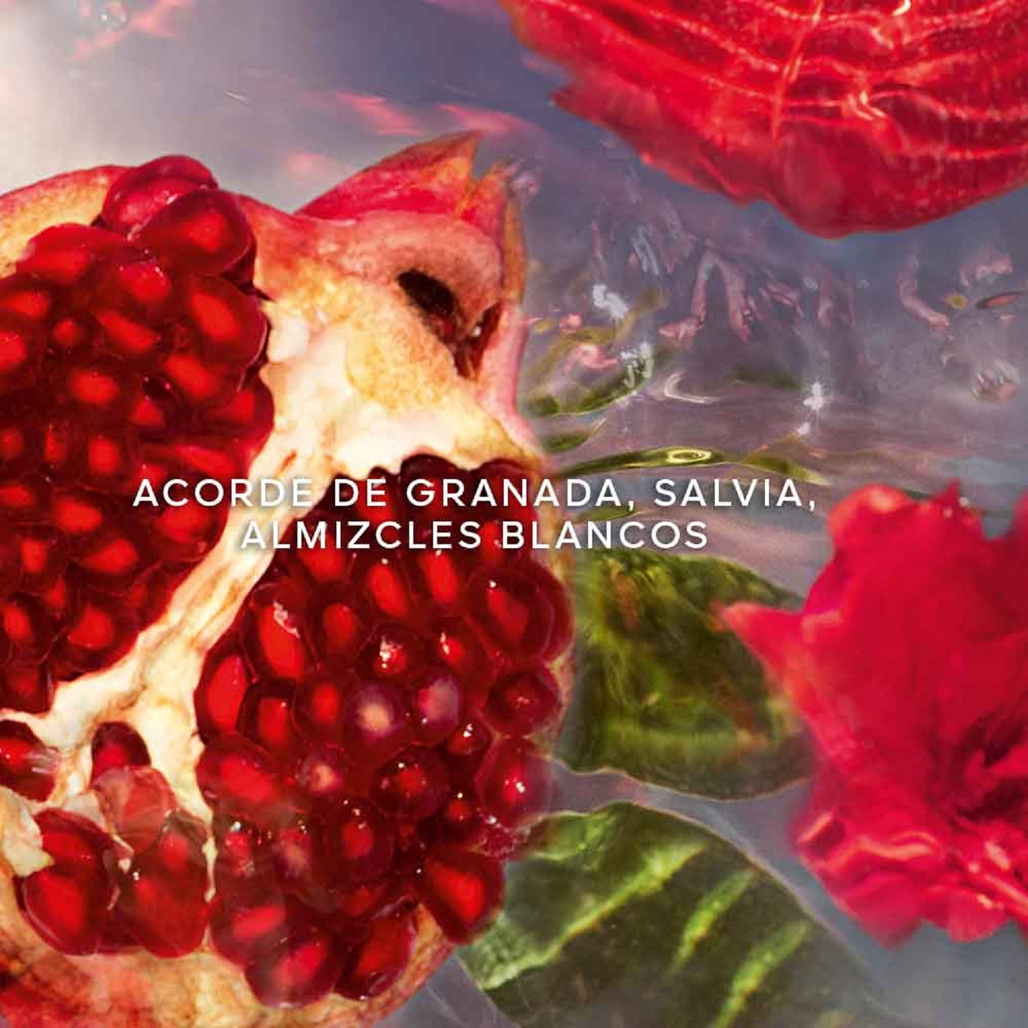 AQUA ALLEGORIA GRANADA SALVIA EAU DE TOILETTE